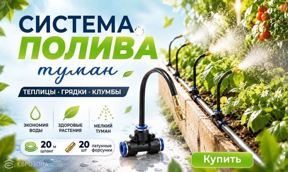 туман