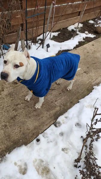 Флісовий светр для собак теплий зимовий одяг для великих собак 3XL синій (PET-3XLB) фото