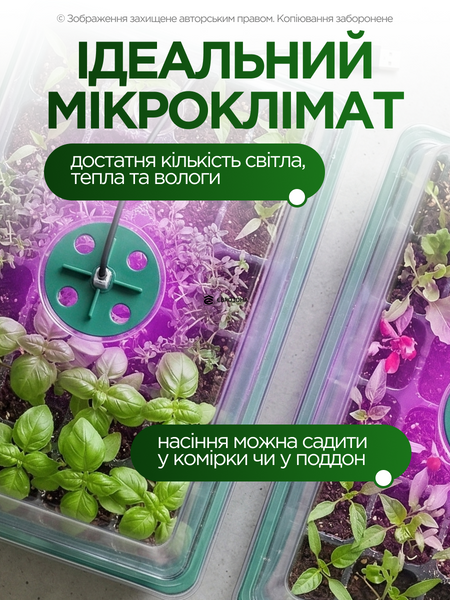 Гроубокс міні теплиця набір для пророщування насіння розсади з фітолампою 4 шт х 12 комірок (GROWBOX-4) фото