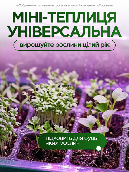 Гроубокс міні теплиця набір для пророщування насіння розсади з фітолампою 4 шт х 12 комірок (GROWBOX-4) фото