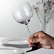 Келих для білого вина Montrachet Riedel Black Tie 520 мл (4100/07) фото 2