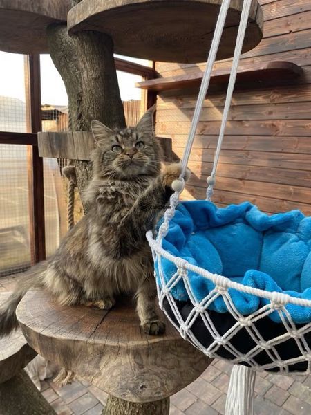 Лежанка для котів підвісна макраме гамак для кішки з дерев'яними намистинами та декоративною китицею котяче ліжко 40&times;140 см, біле (MCH-40) фото