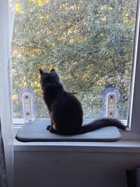 Гамак лежанка для кота на присосках, лежанка для кота на окно, серый, 52&times;30 см (CatG2) фото