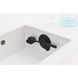 Щітка для посуду з підставкою-присоскою Brabantia Dish Washing + Organising чорна (117589) фото 4