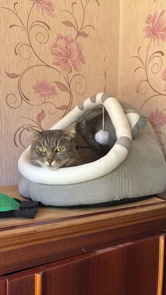 Домик лежанка для кошек и собак с подушкой игрушкой и нескользящим дном 37&times;32 см серый (PETh-M) фото