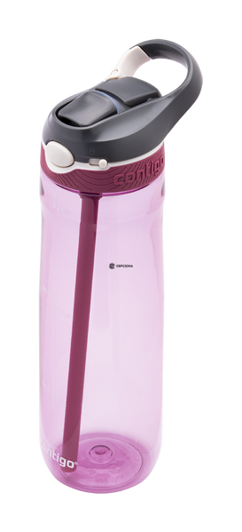 Бутылка для воды Contigo Ashland 720 мл фиолетовая (2106518) фото