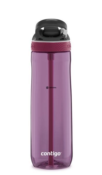 Бутылка для воды Contigo Ashland 720 мл фиолетовая (2106518) фото