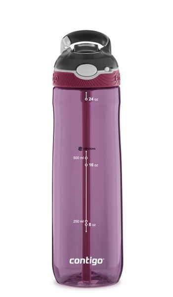 Бутылка для воды Contigo Ashland 720 мл фиолетовая (2106518) фото