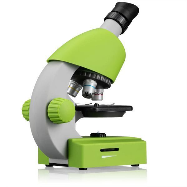 Мікроскоп Bresser Junior 40x-640x Green з набором для дослідів і адаптером для смартфона (8851300B4K000) фото