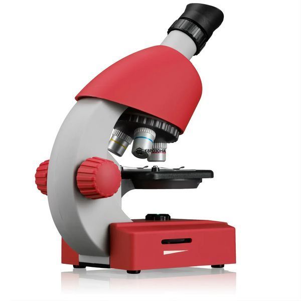 Мікроскоп Bresser Junior 40x-640x Red з набором для дослідів та адаптером для смартфона (8851300E8G000) фото