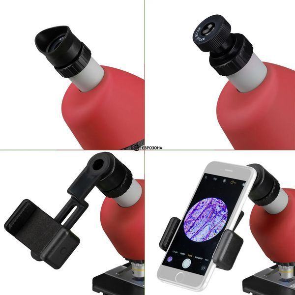 Мікроскоп Bresser Junior 40x-640x Red з набором для дослідів та адаптером для смартфона (8851300E8G000) фото